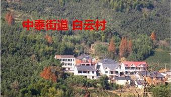 希望村,乡村振兴的美丽画卷”