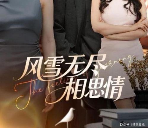 风雪无尽相思情,相思无尽——岁月里的深情守望