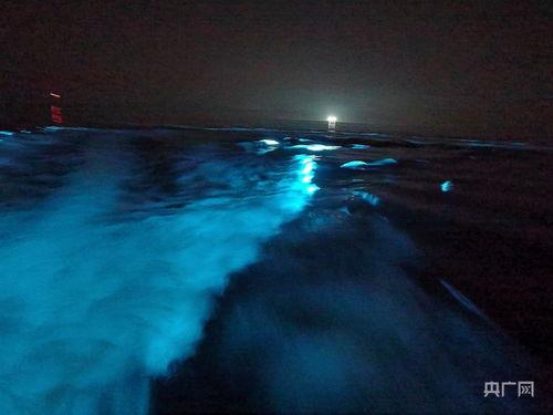 蓝色的眼泪,探寻神秘泪滴背后的传奇故事