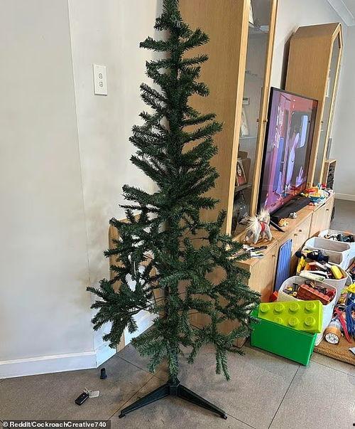 谁来买我的圣诞树,揭秘谁将成为您的圣诞树买家