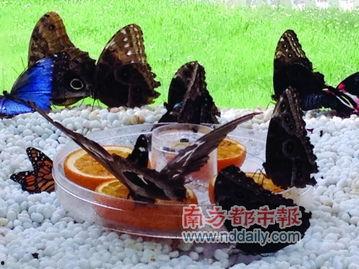 破茧成她,女性成长与蜕变之路